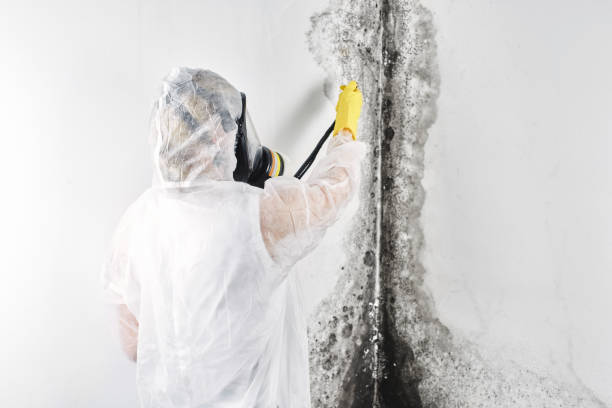 Best Emergency water damage restoration  in Gasport, NY